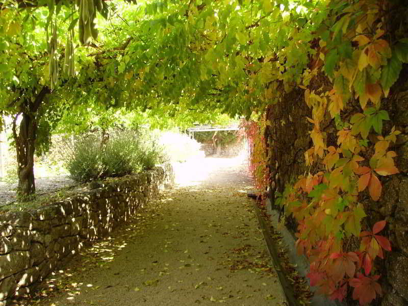 Casa De Santo Antonio De Britiande Bed & Breakfast Exterior photo